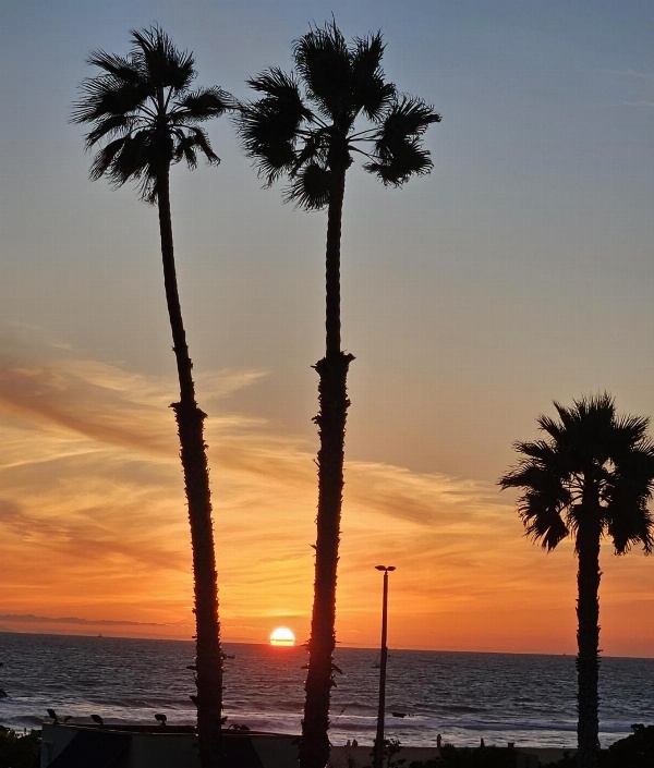 Huntington Surf Inn Main image